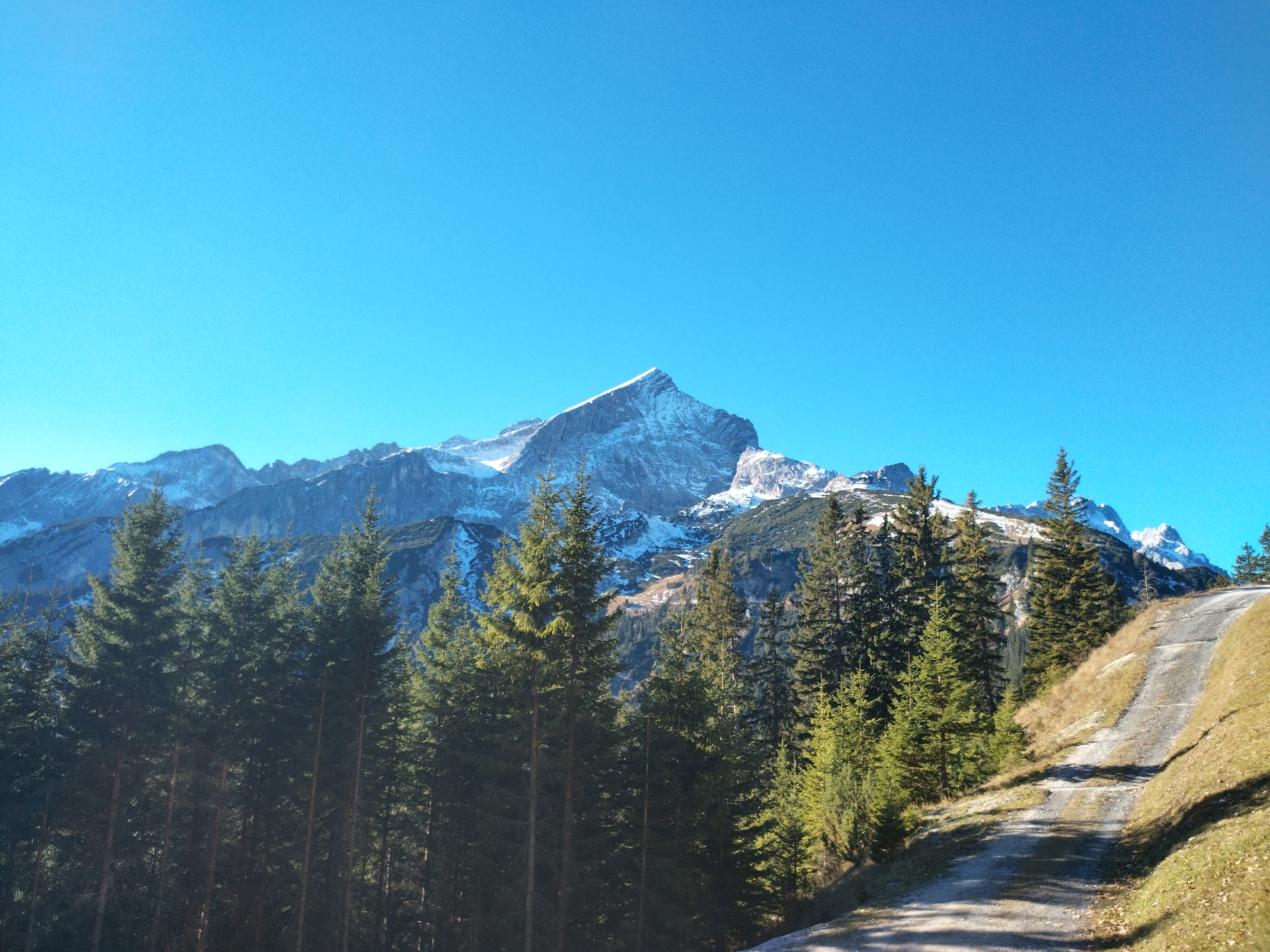 Sommerlicher Blick zur Alpspitze